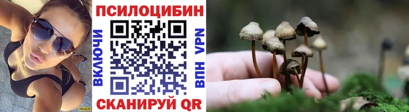 Галлюциногенные грибы GOLDEN TEACHER  blacksprut ссылка  Балаково 